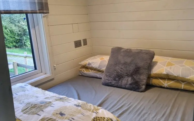Glamping Hut - Riverview 5