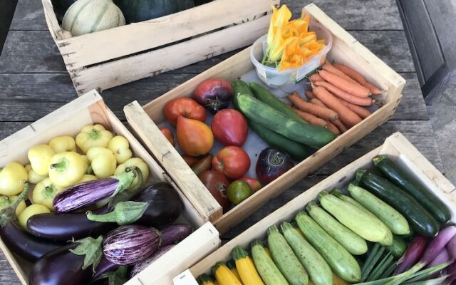 Domaine du Clos d'Alari