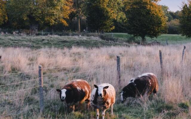 The Shepherds Farm
