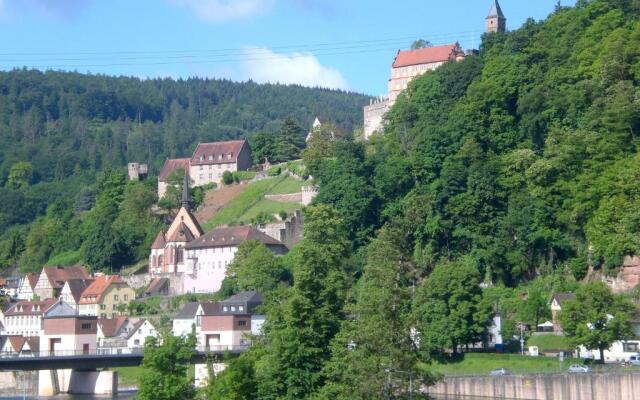 Romantisches Hirschhorn am Neckar
