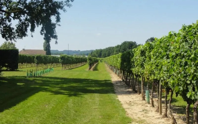 Domaine de Grande Font