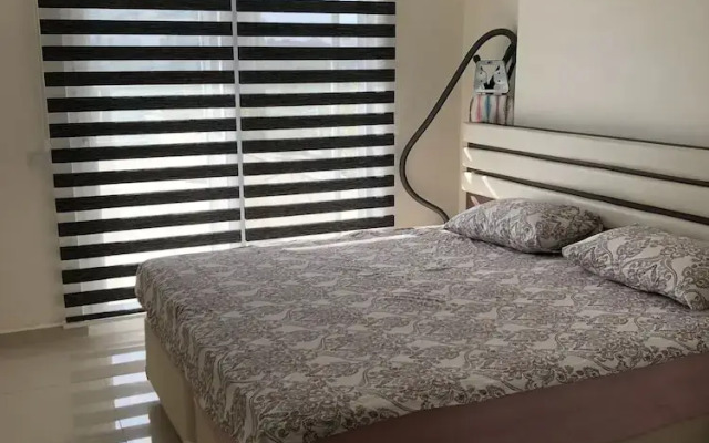 Olive Garden Siberland D3