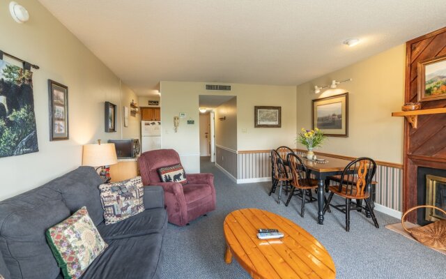 Gatlinburg Summit 1206/Winter Special