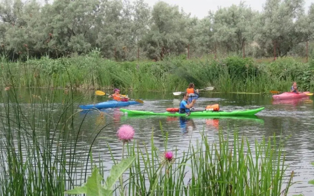 Experiente in Delta Dunarii