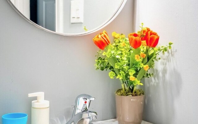 Charming 2BR Apartment In Downtown Hamilton