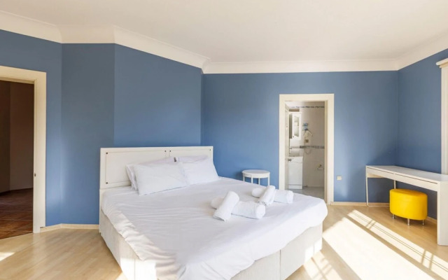 Charming Villa With Pool and Garden in Gebze