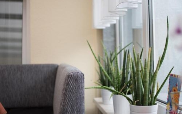 Pension Regina Inh. Monique Kluge