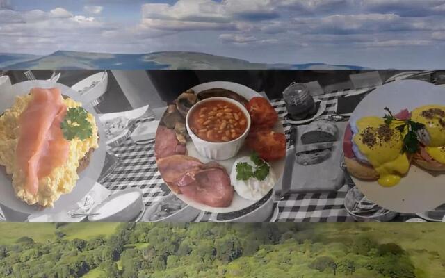Plas Tan-Yr-Allt Historic Country House B&B