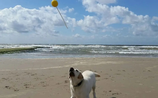 Schittering van de Zee