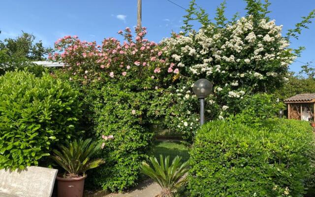 Santa Maria Apartments