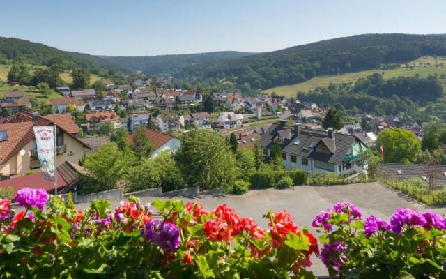 PANORAMA Hotel Heimbuchenthal