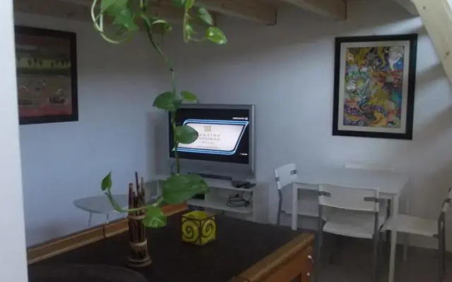 Casa Aloe Vera