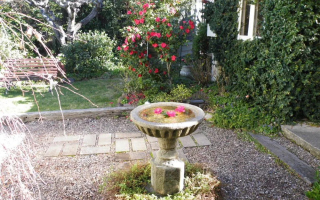 Pacific Heights Holiday Apartments & Munn's Tower House