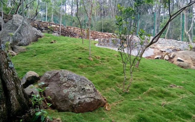 The Brook - Resorts & Spa - Yercaud