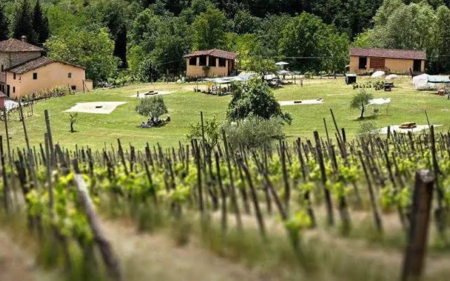 Fattoria Dell'orto Degli Ulivi