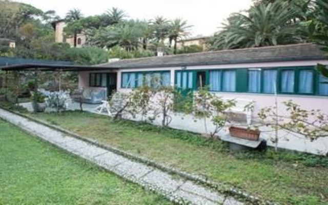 Girasole Dell'Orefice