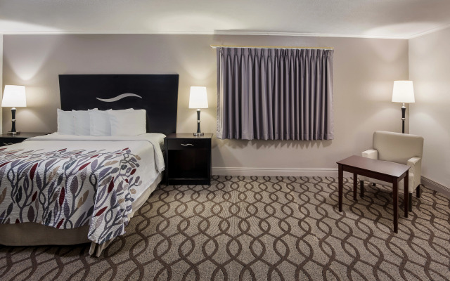 Red Roof Inn Lexington - Hamburg