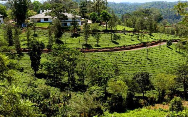 Parisons Plantation Experiences Bungalow