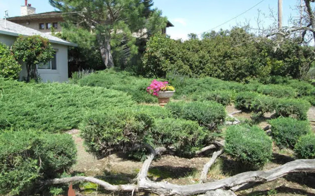 Judys Bed and Breakfast