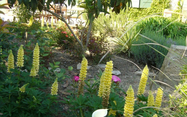 Chambres d'hôtes Le Mas