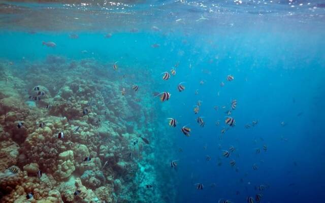 Ocean Village Maldives