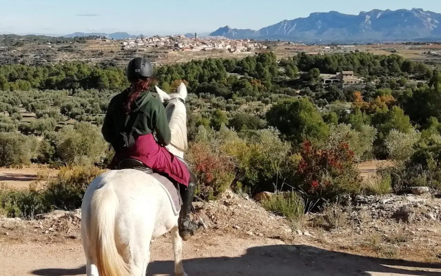 Hospedería Virgen De La Fuente