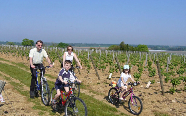 Chateau De La Sebrandière