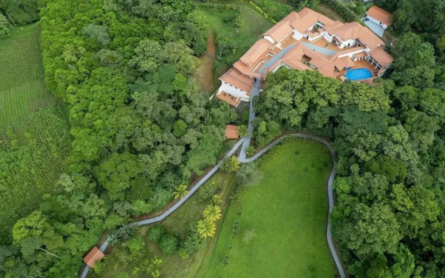 Serenity Rainforest Condos