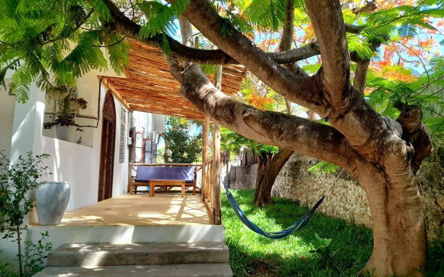 Culture's apartment