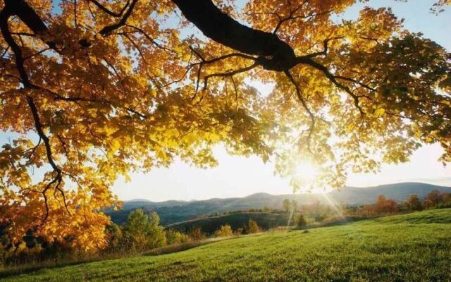 Akzent Hotel Alte Linde