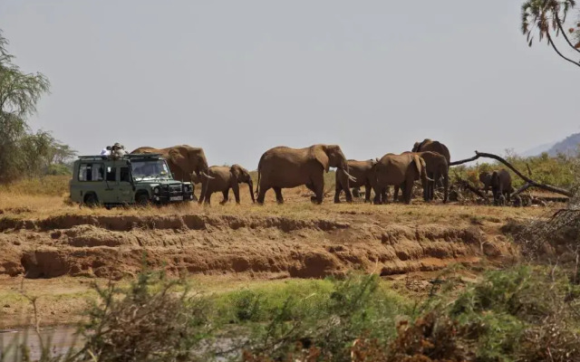 Samburu Lodge