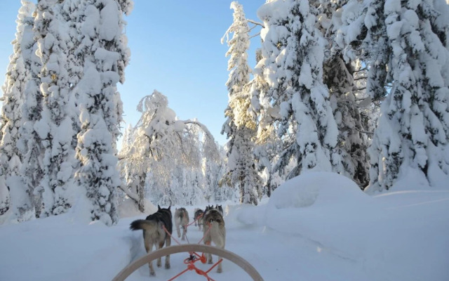 Hotel Arctic Zone