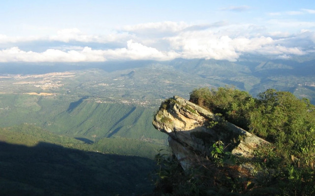 Finca Temática Cafetera Las Mercedes