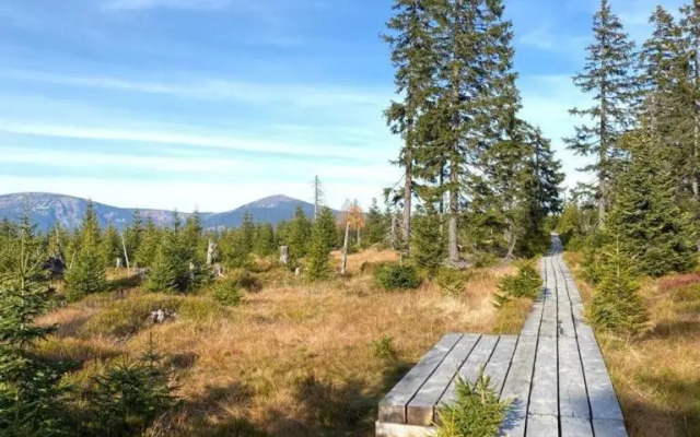 Vila 66 - Čistá v Krkonoších