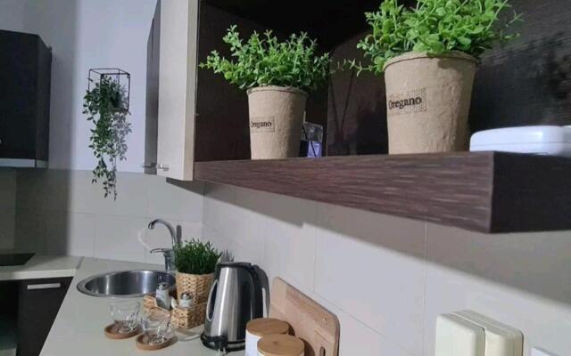 Apartment in the heart of the city 3A