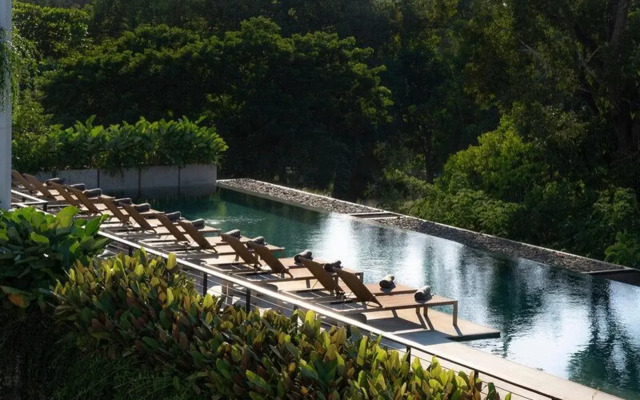 Treeline Urban Resort