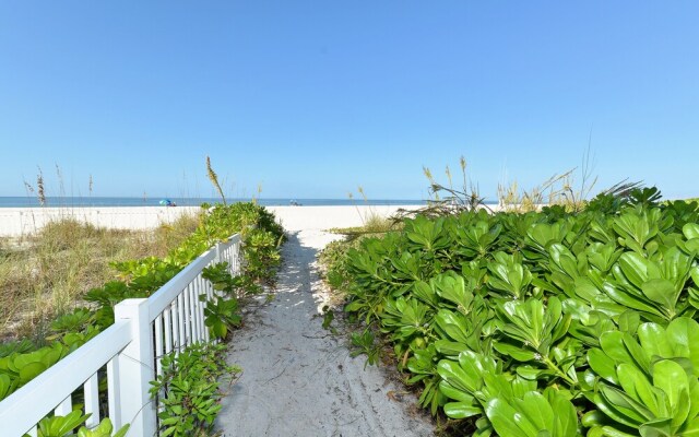Anna Maria Island Runaway Tropical Dream