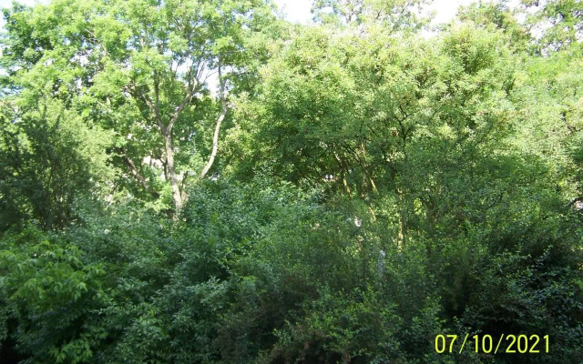 Zielony Apartament, Kielce, Targi, Centrum