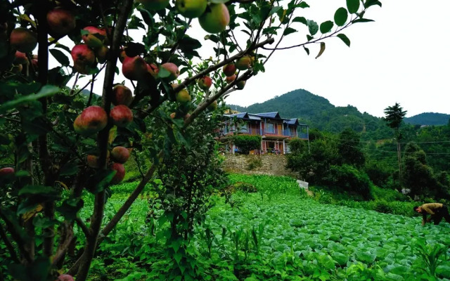 Saanidhya Homestay