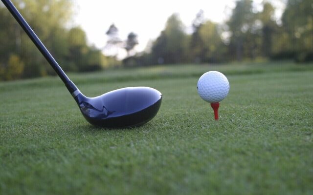 The Highlander at Radford, Tapestry Collection by Hilton