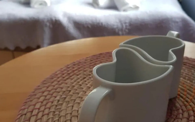 Willa Zachodni Brzeg