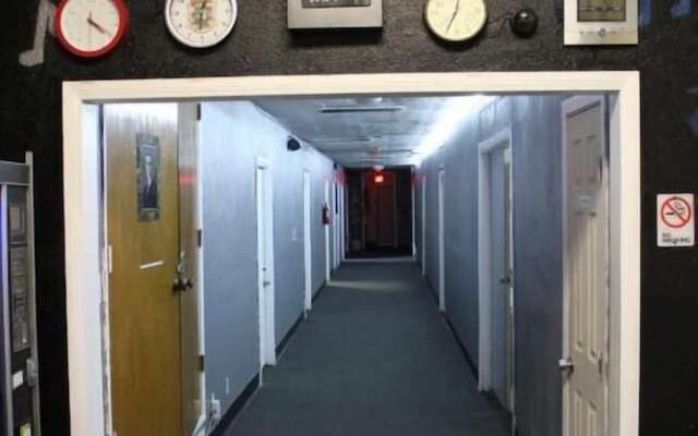 Artist Housing - Hostel