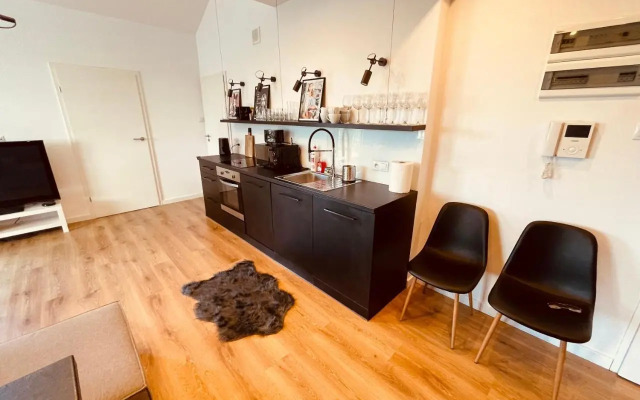 Apartamenty KTW PENTHOUSE z TARASEM