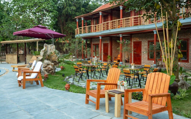 Tam Coc Lavender Homestay
