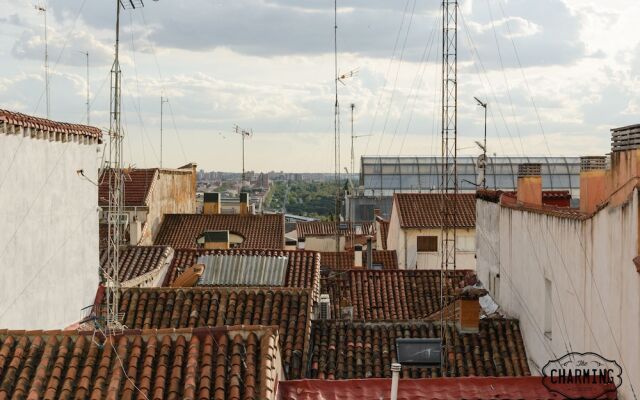 Charming Gran Vía II