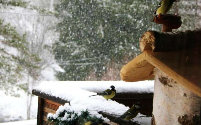 Chalet With 3 Bedrooms in Ban-sur-meurthe-clefcy, With Wonderful Mount