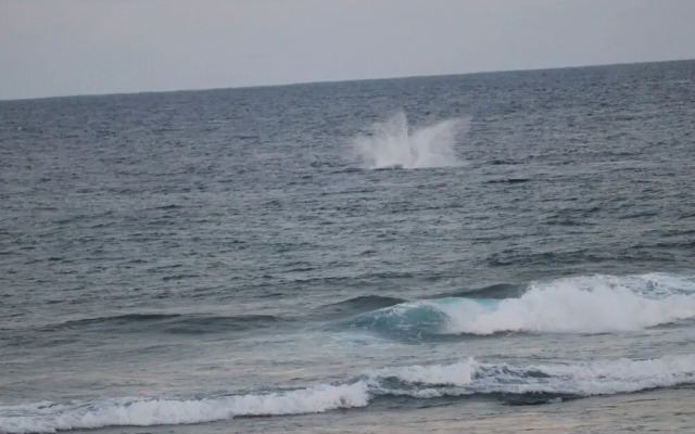 Tanna Horizon Bungalows & Tours