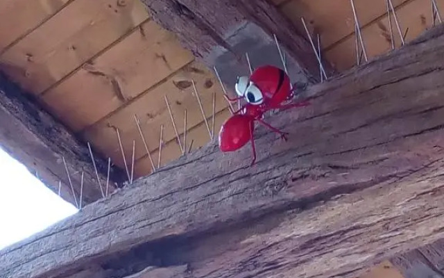 Cabaña Pasiega Única