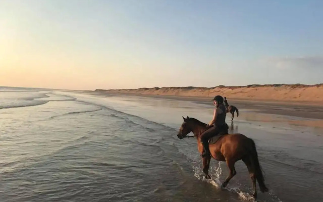 Domaine des Z'Ailés Les Roulottes