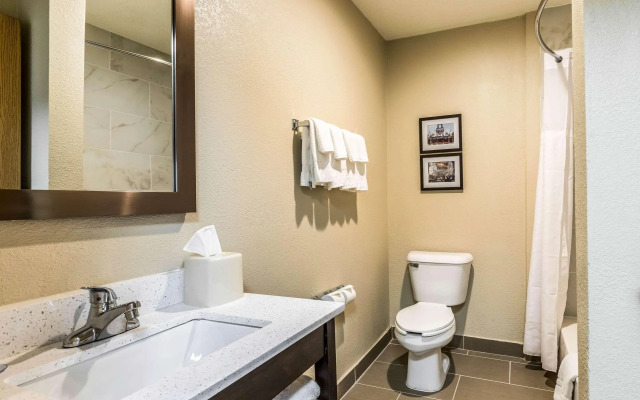 Comfort Inn Downtown